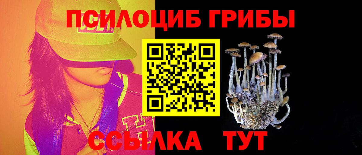 Татарск  Галлюциногенные грибы MAGIC MUSHROOMS  Вход с VPN 